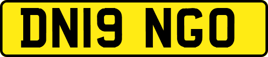 DN19NGO