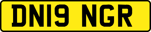 DN19NGR