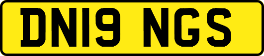 DN19NGS
