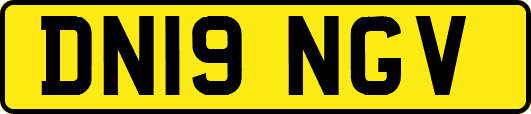 DN19NGV
