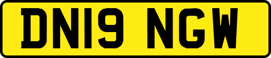 DN19NGW