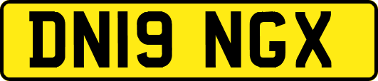 DN19NGX