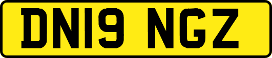 DN19NGZ