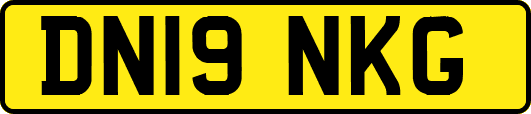 DN19NKG