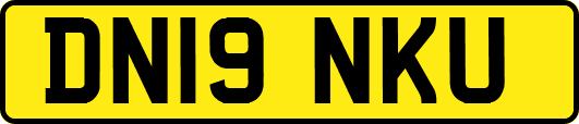 DN19NKU