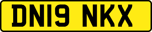 DN19NKX