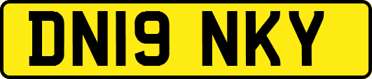 DN19NKY