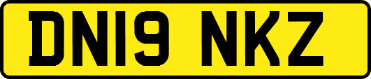 DN19NKZ