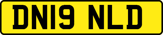 DN19NLD