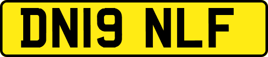 DN19NLF