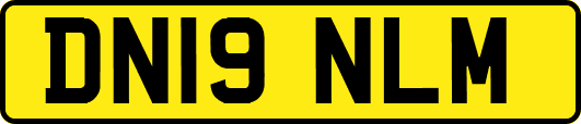 DN19NLM