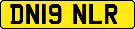 DN19NLR
