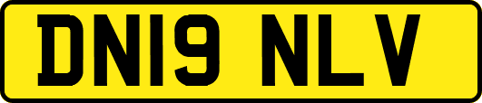 DN19NLV
