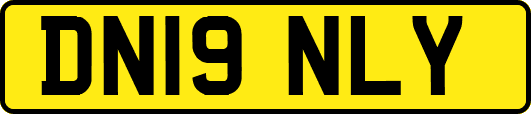 DN19NLY