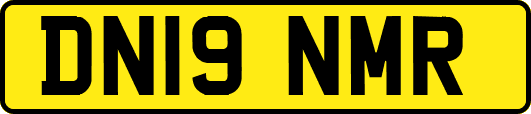 DN19NMR