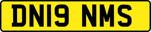 DN19NMS