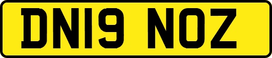 DN19NOZ
