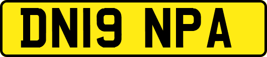 DN19NPA
