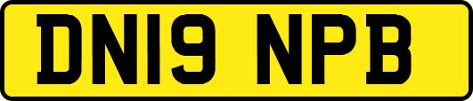 DN19NPB