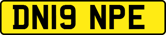 DN19NPE