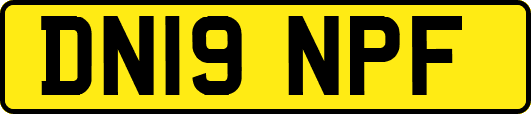 DN19NPF