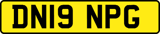 DN19NPG