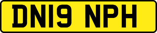 DN19NPH