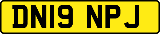 DN19NPJ