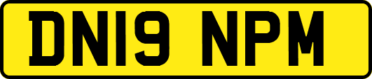 DN19NPM