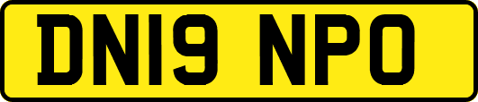 DN19NPO