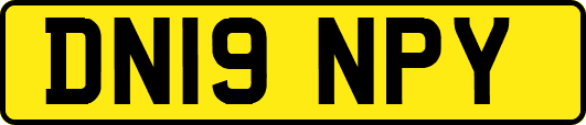 DN19NPY