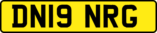 DN19NRG