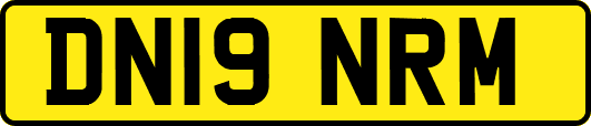 DN19NRM