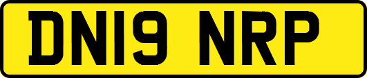DN19NRP