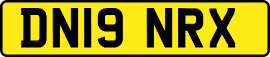 DN19NRX