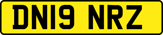 DN19NRZ