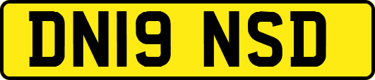 DN19NSD