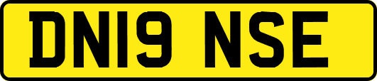DN19NSE