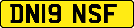 DN19NSF