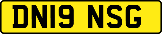 DN19NSG