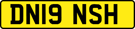 DN19NSH