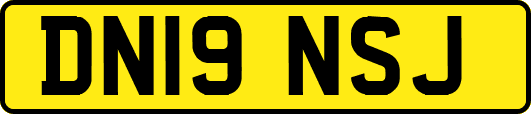 DN19NSJ