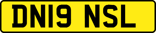 DN19NSL