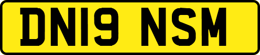 DN19NSM