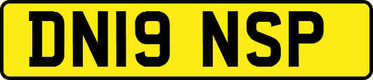 DN19NSP