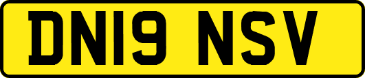 DN19NSV