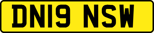 DN19NSW