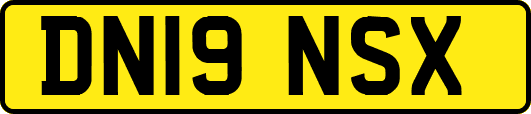 DN19NSX