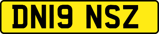 DN19NSZ