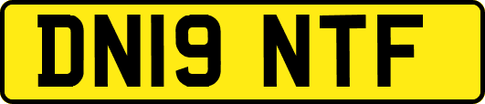DN19NTF